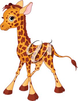 271x350 Picture Of A Cute Baby Giraffe Standing Up In A Vector Clip Art