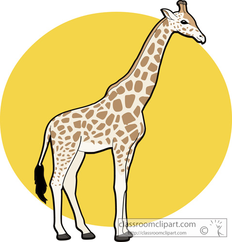 478x500 Top 91 Giraffe Clipart