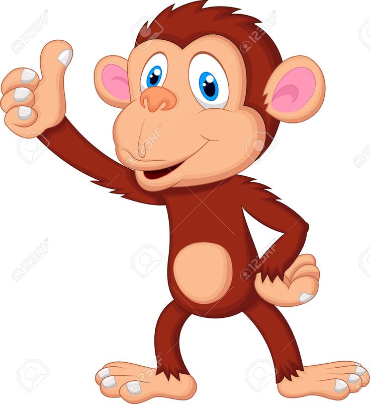 736x802 Collection Of Baby Monkey Thumb Up Tattoo Design