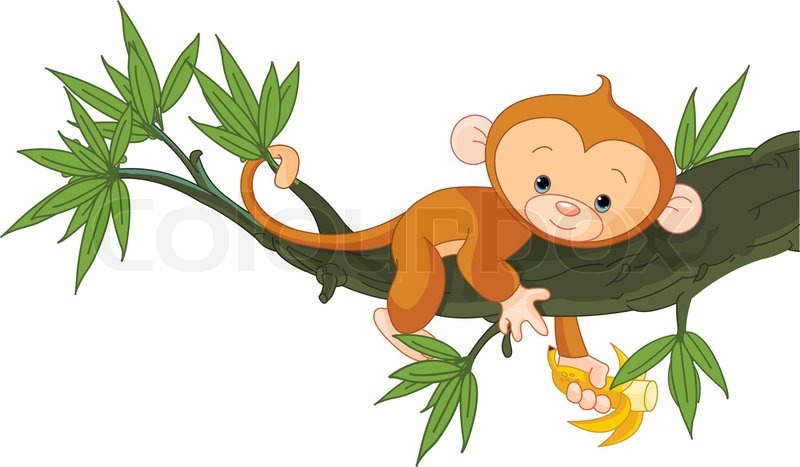 800x467 Cute Baby Monkey On A Tree Holding Banana Stock Vector Colourbox