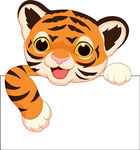 140x150 Tiger Face Clip Art Clipart Panda
