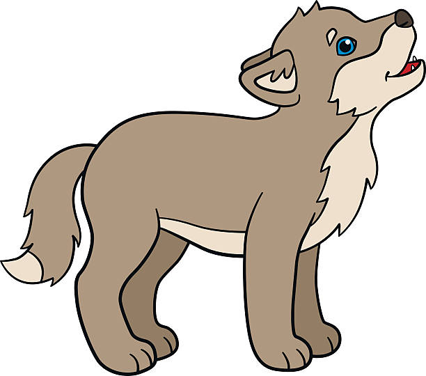 612x540 Wolf Animal Clipart, Explore Pictures