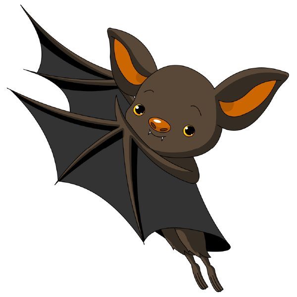 600x600 Image Result For Cave Bats Clipart Halloween And Autumn