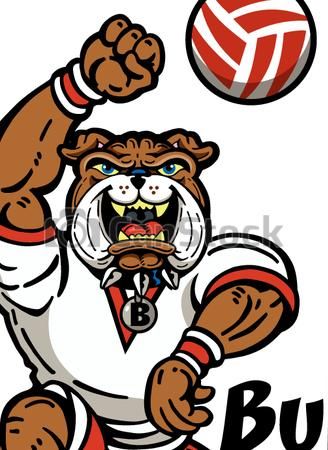 328x450 Eps Vector Of Bulldog Volleyball