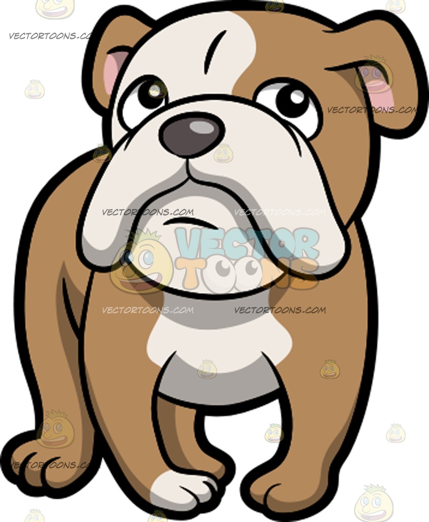 842x1024 English Bulldog Clipart Vector Toons