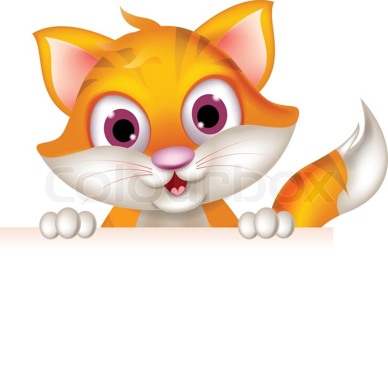800x759 Cute Cat Cartoon Holding Blank Sign Stock Vector Colourbox