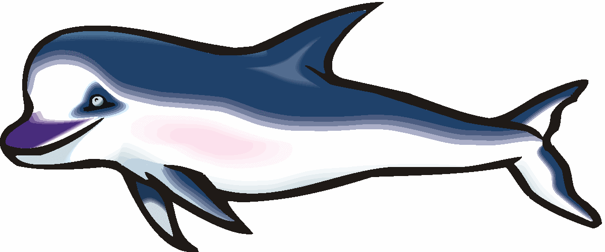 1200x501 Free Dolphin Clipart