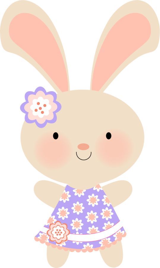 539x900 142 Best Conejos Images On Rabbits, Bunnies And Bunny