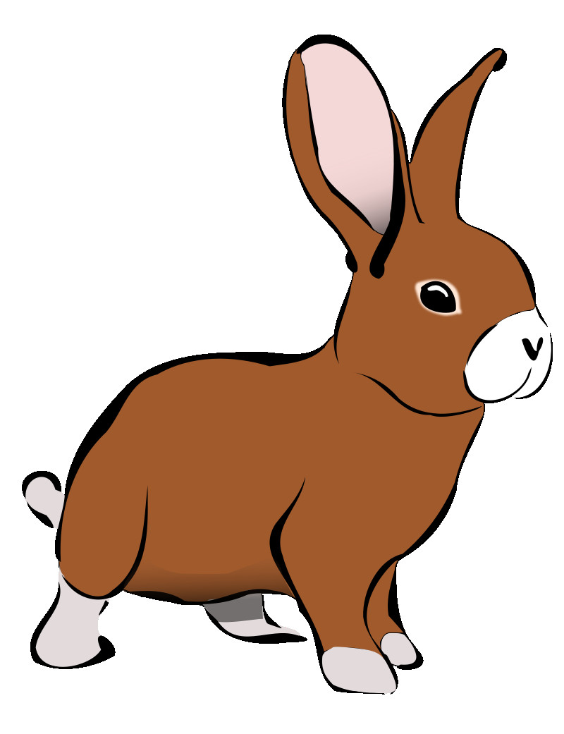 800x1041 Easter Bunny Rabbit Cartoon Clip Art Cute Png Unusual Bunnies