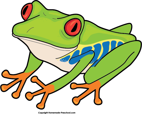 559x449 Green Eyes Clipart Frog Eye
