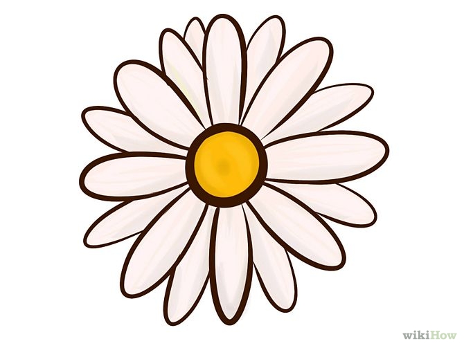670x503 Gallery Cute Drawings Of Flowers,