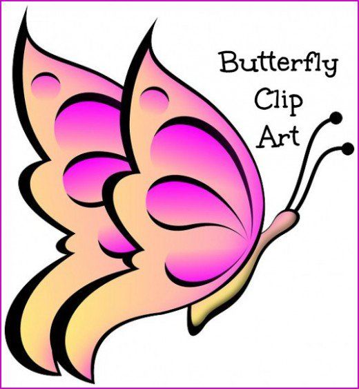 520x563 Butterfly Clip Art Clip Art, Butterfly And Animal