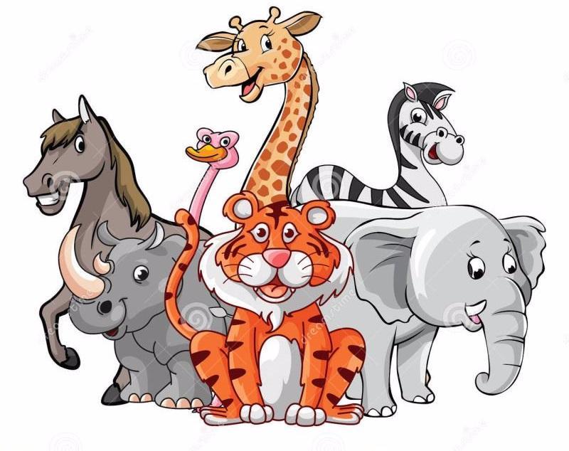 800x634 Potpourri Animal Kingdom Royalty Free Cliparts Vectors And Stock