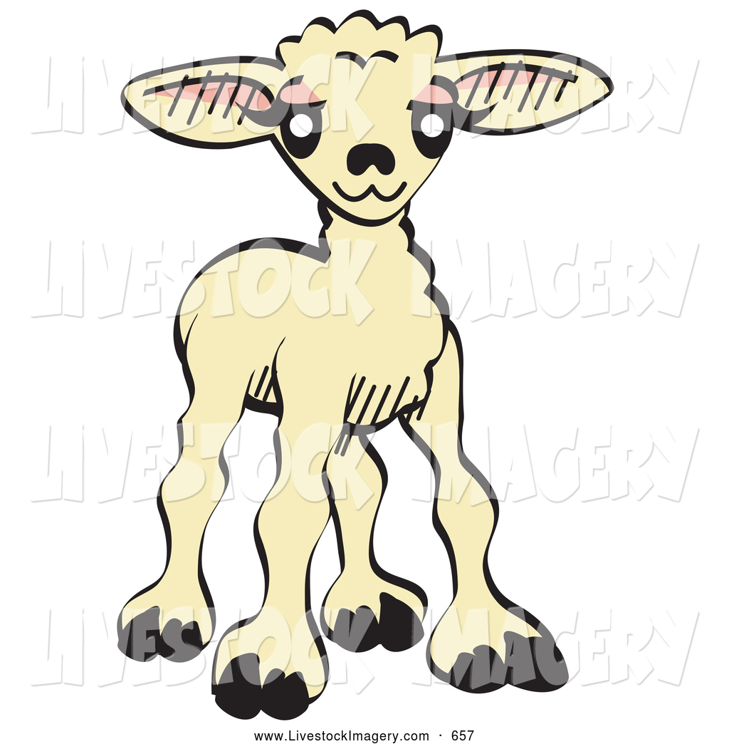 1024x1044 Royalty Free Cute Animal Stock Livestock Designs