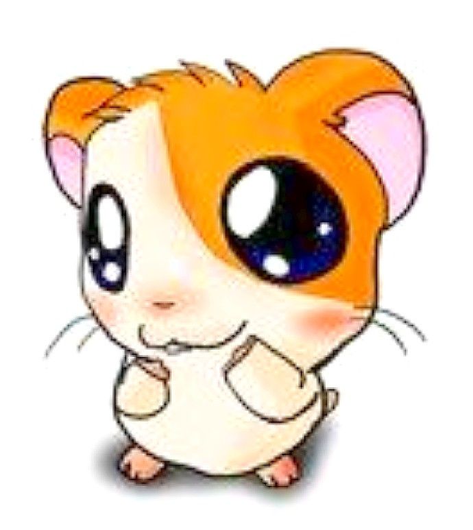 690x773 Hamster Cartoon Cute Milan's Board Art Illustrations