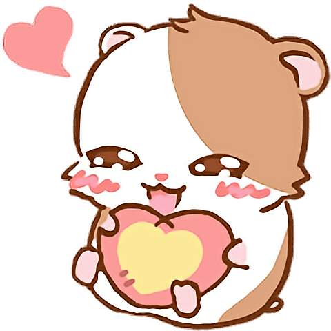 480x480 Hamster Kawaii Cute Tumblr Animals Ftestickers