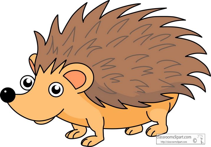 716x500 Cute Hedgehog Cartoon Cartoon Hedgehog Clipart