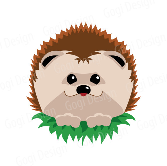 570x566 Cute Hedgehog Vector Illustration On White Background