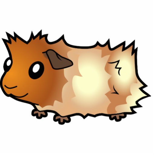 512x512 Guinea Pigs Related Clipart