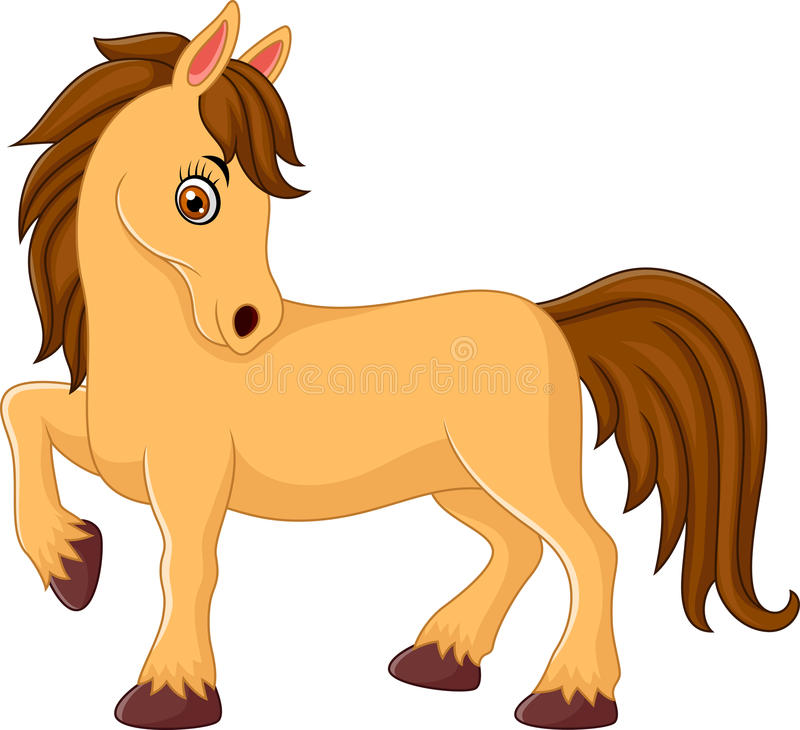 800x730 Horse Cartoon Images Group