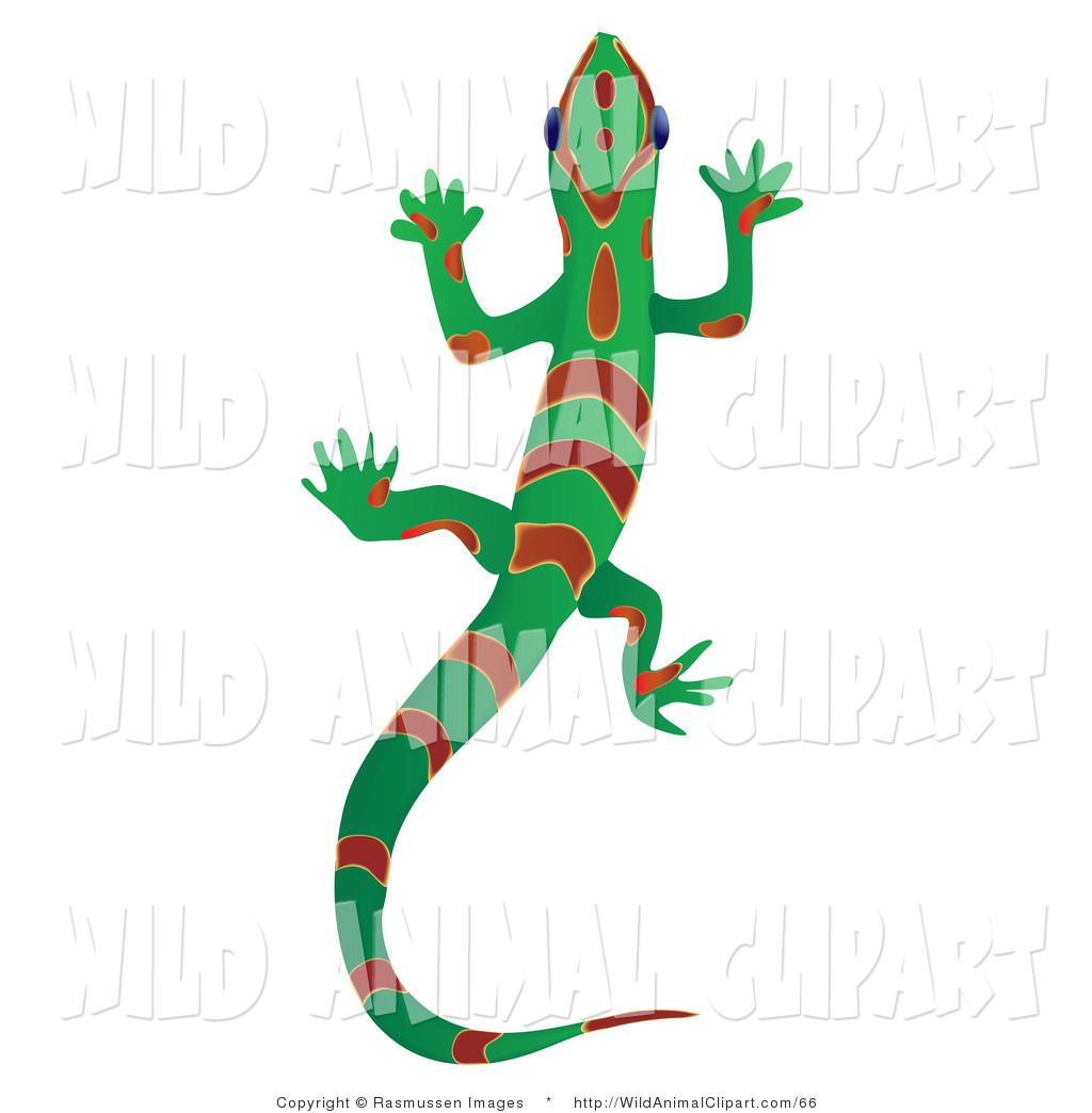 1024x1044 Cute Lizard Clipart Clipart Panda
