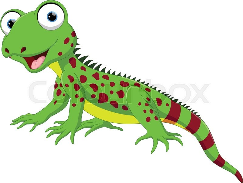 800x604 Vector Illustration Of Cute Lizard Cartoon Isolated On White