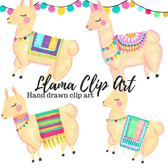 570x570 Llama Clip Art