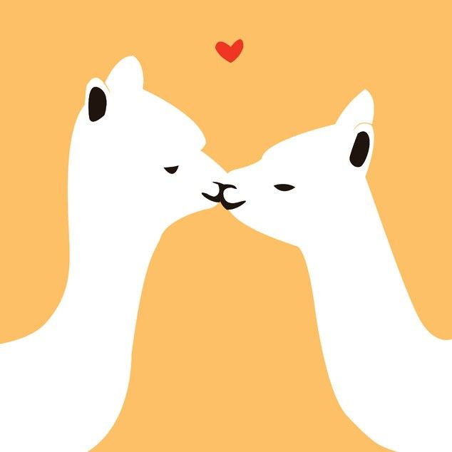 634x634 Llama Design