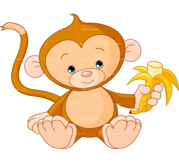 619x562 Image Of Cute Monkey Clipart