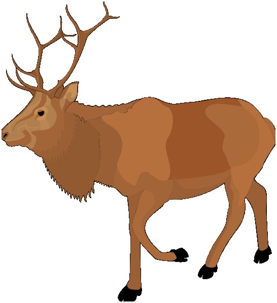 546x598 Free Moose Clipart New Moose Silhouette Clip Art Vector Clip Art