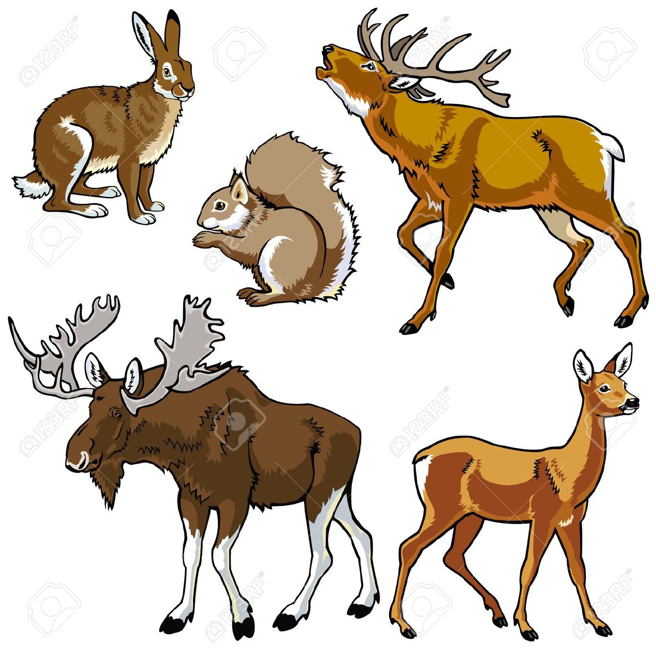 1300x1300 Top 84 Moose Clipart