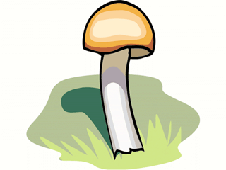 320x240 Download Vegetable Clip Art ~ Free Clipart Of Vegetables Mushroom
