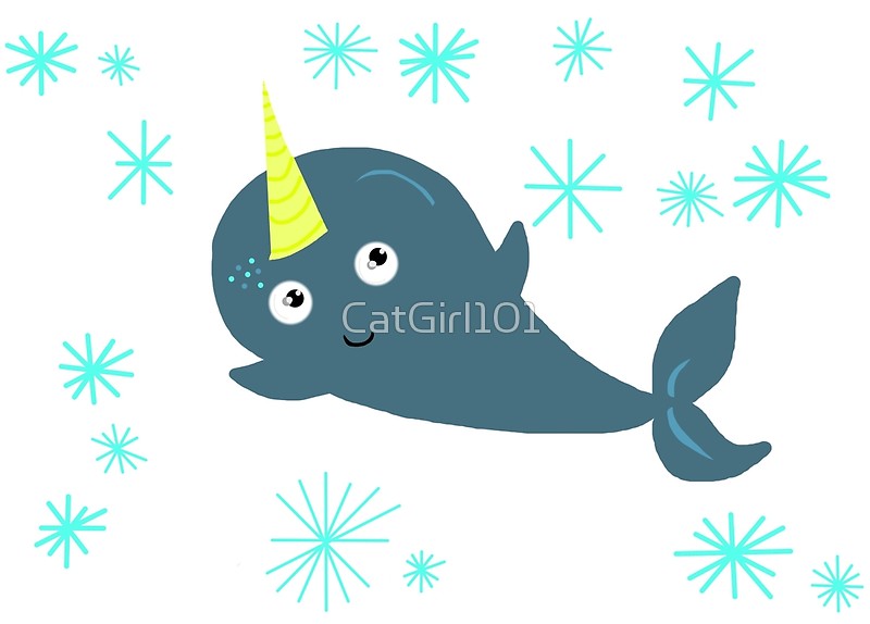 800x574 Cute Narwhal! Posters By Catgirl101 Redbubble