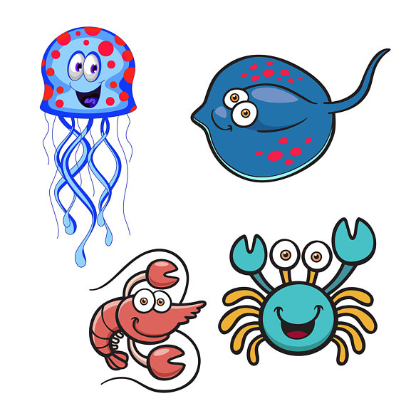 570x570 Sea Animal Clipart Marine Animal Clipart Aquatic Animals