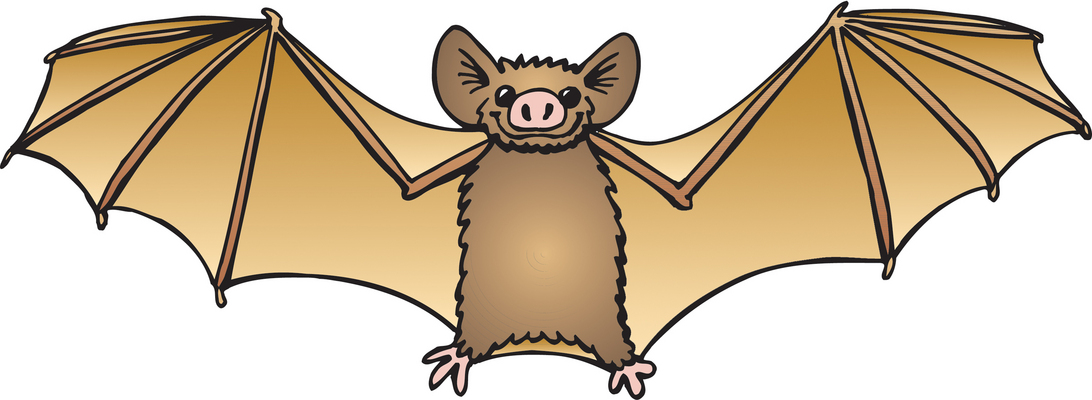 1092x400 Cute Bat Clipart
