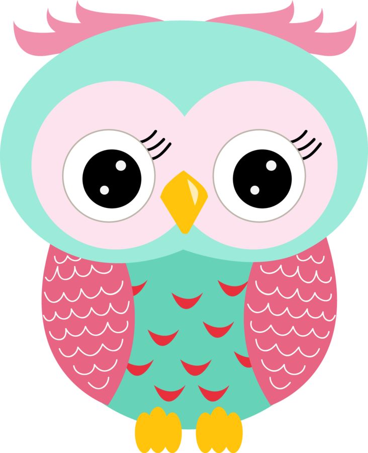 Cute Owl Clipart at GetDrawings | Free download