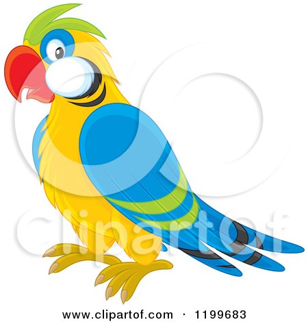 450x470 Clipart Of A Cute Outlined Baby Parrot