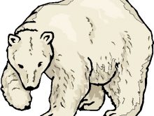 220x165 Polar Bear Clipart Free School Clipart