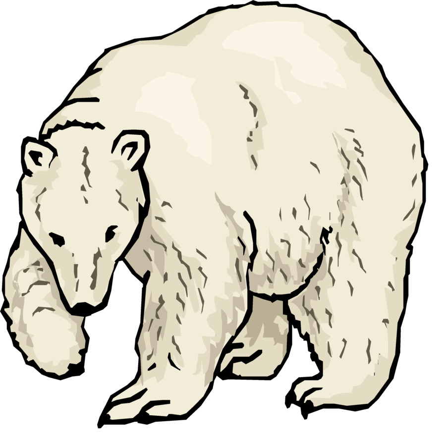 900x900 Polar Bear American Black Bear Giant Panda Clip Art