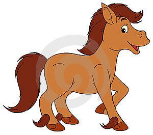 300x265 Homey Ideas Pony Clipart