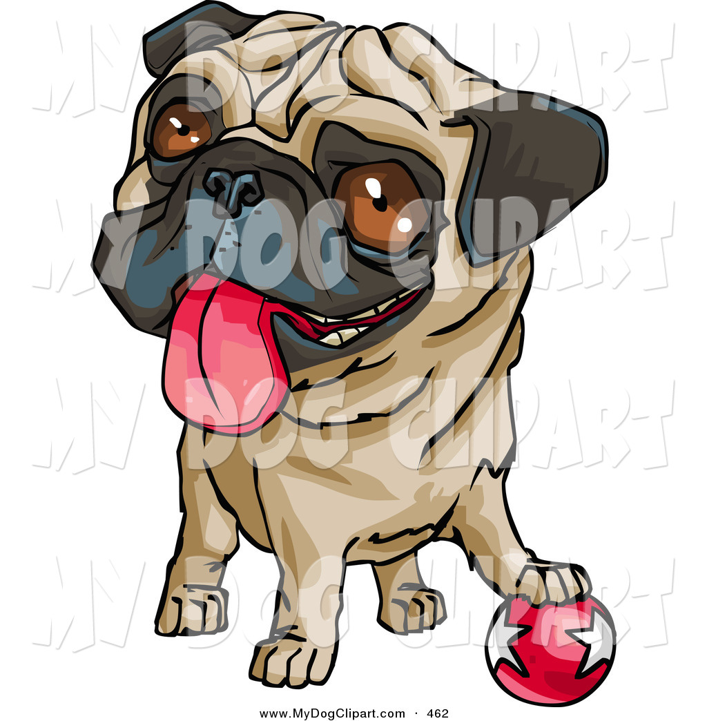 1024x1044 Clip Art Of A Cute Brown Eyed Pug Dog Hanging His Tongue Out