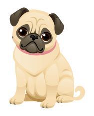 189x235 Pug Clipart D8bca3a863609bffc8630c9892d3a600.jpg
