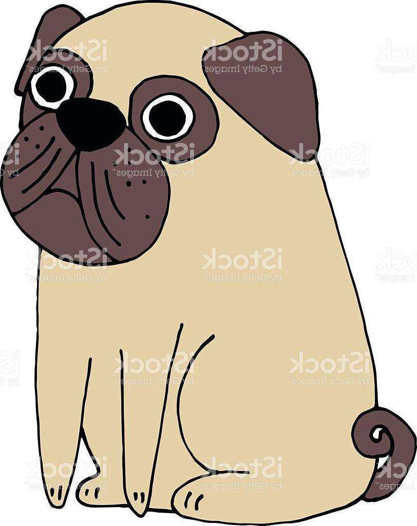 812x1024 Best Free Cute Pug Vector Illustration Photos