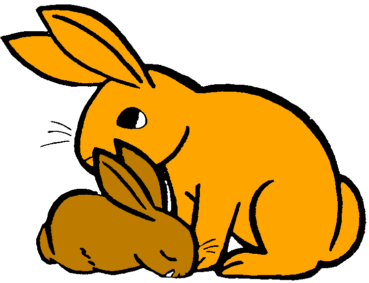 744x571 Rabbit Cute Bunny Clip Art Free Image