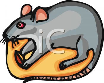 350x279 Picture Of A Cute Cartoon Mouse Nibbling On Cheese In A Vector