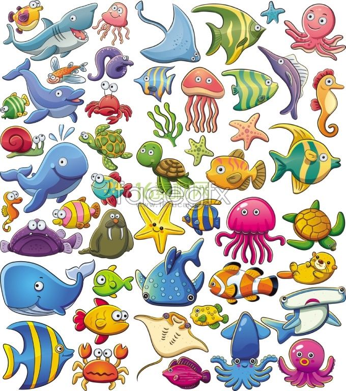 680x768 Cute Sea Animal Cartoon Vector Mar Cartoon, Animal