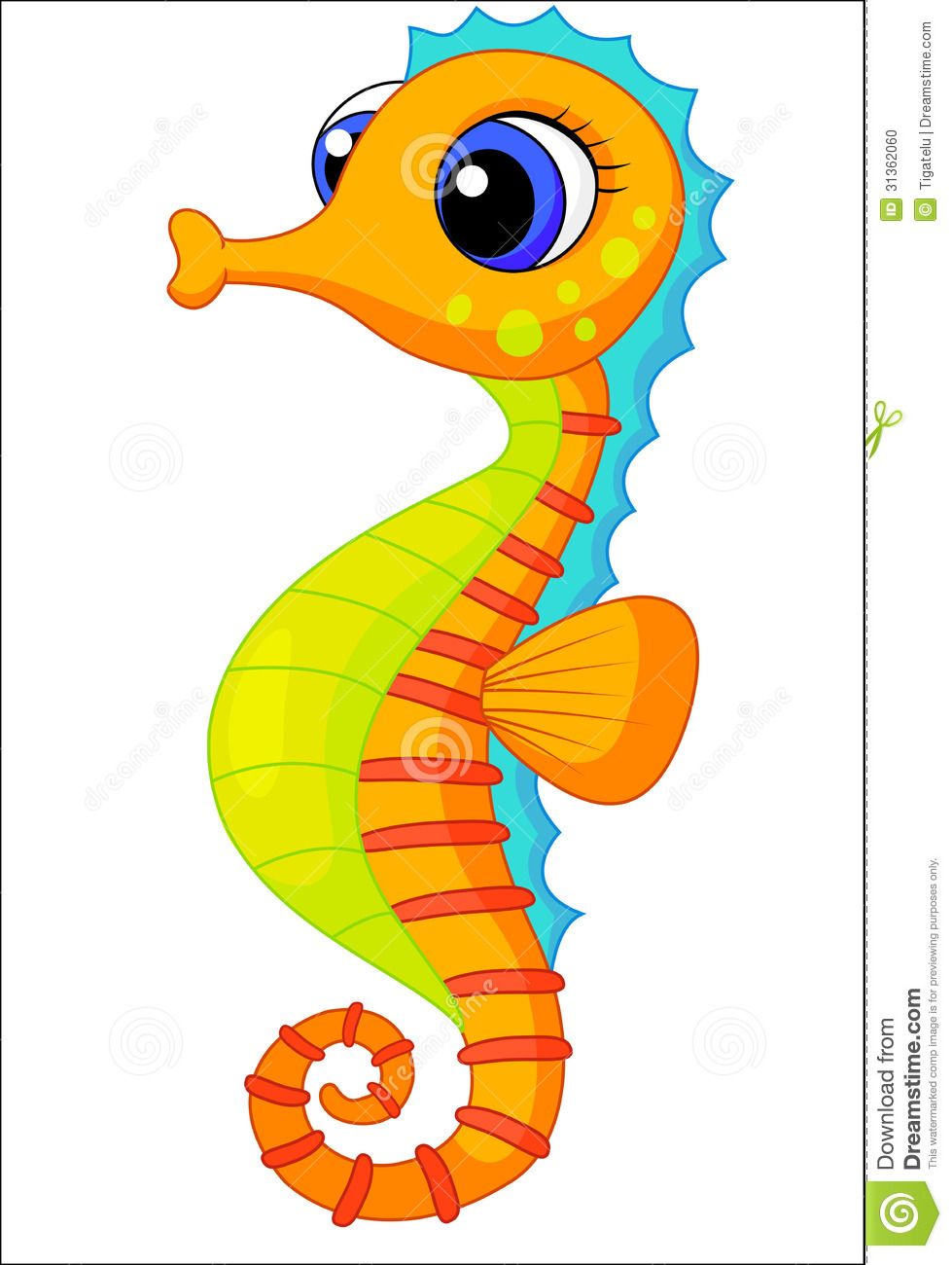 979x1300 Seahorse We Are Cute .sea Animals Seahorses