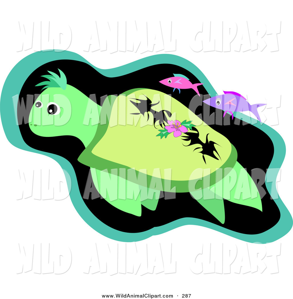 1024x1044 Royalty Free Turtle Stock Wildlife Designs