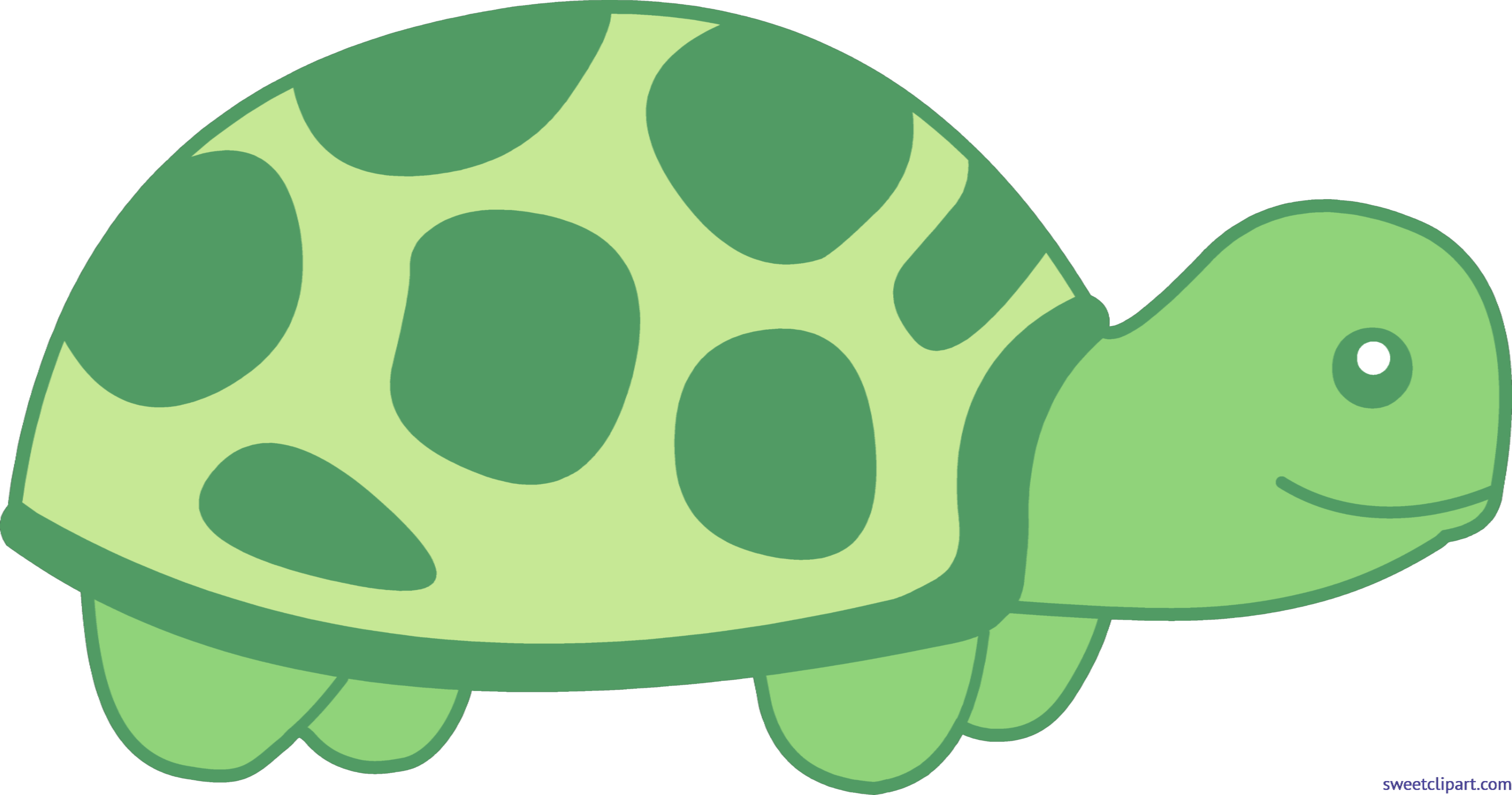 6352x3339 Turtle Cute 2 Clip Art