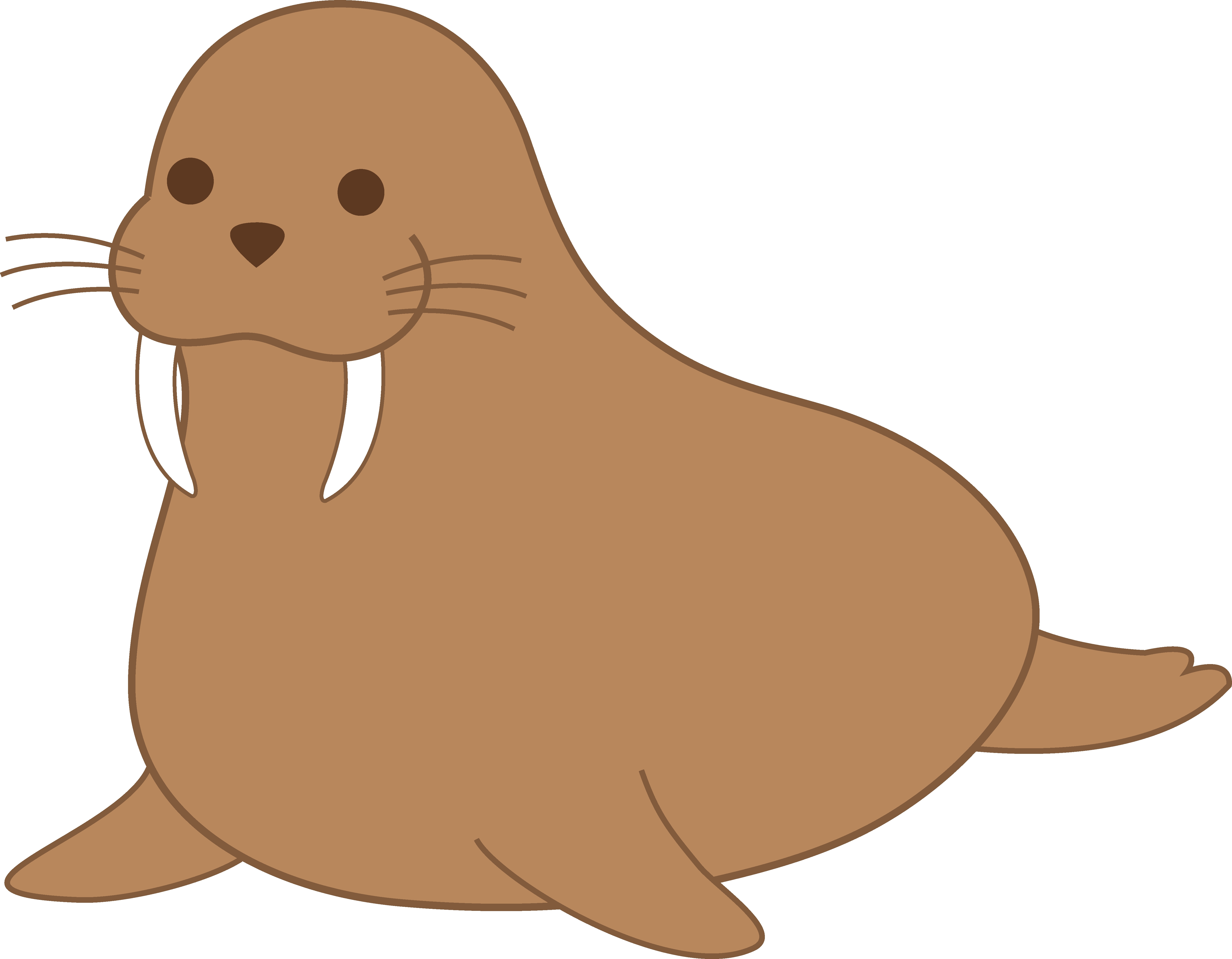 5475x4263 New Walrus Clipart Collection
